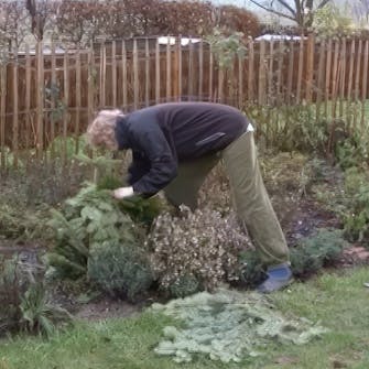 Stell av roser Stell av roser